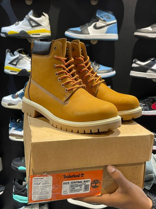 TIMBERLANDD