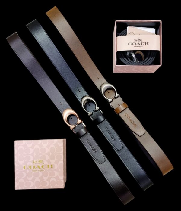 Premium Belts - Image 3