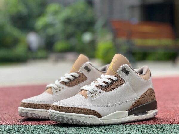 Jordann Retro 3 jack cactus