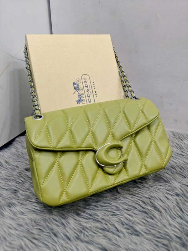 LATEST COACHH TABBY - Image 4