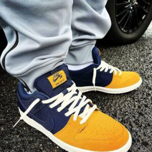 NIKEE SB DUNK LOW PRO BACKPACK 