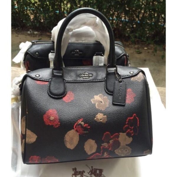 COACHH SPEEDY HIGH CLASS - Image 6