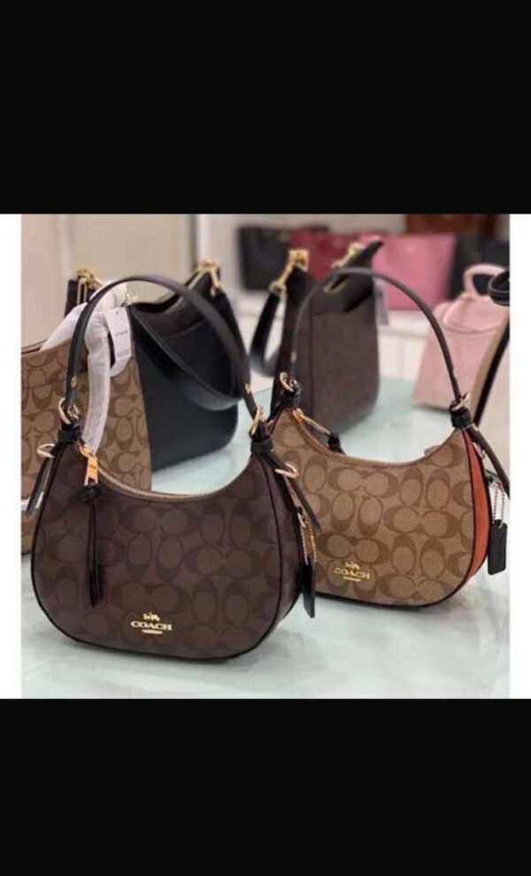 Coachh Carmen Half Moon Leather Bag - Image 2