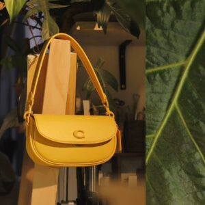 COACHH EMMY SADDLE BAG