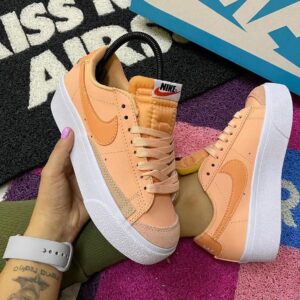 Nikee blazer low classic