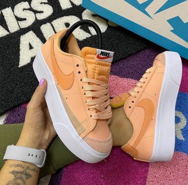 Nikee blazer low classic