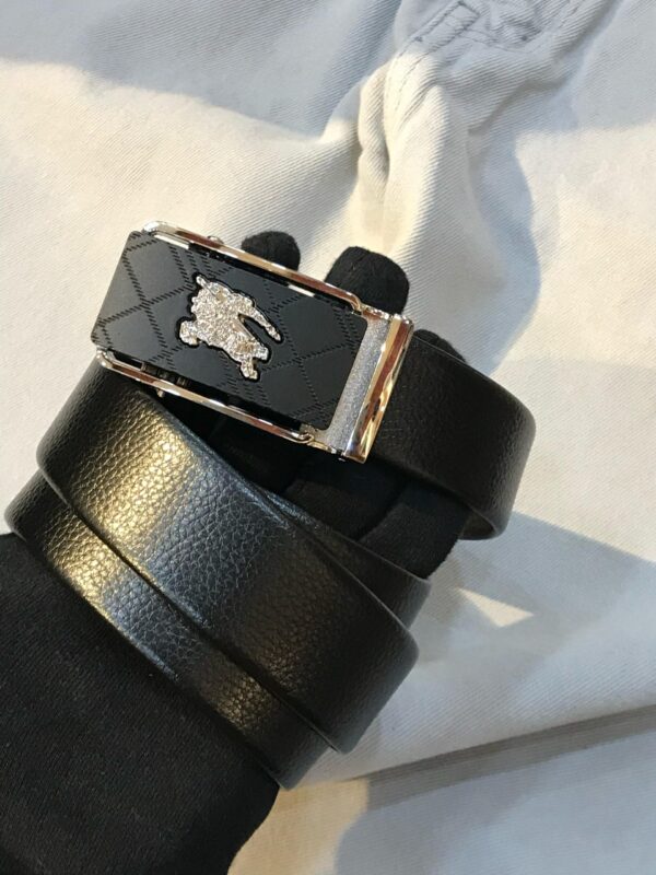 BRANDED BELTS