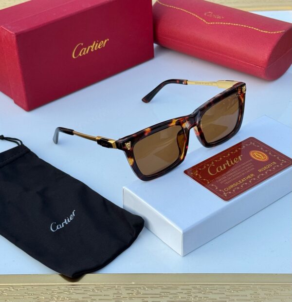 CATIERR-SUNGLASSESS - Image 3