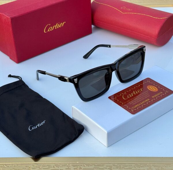 CATIERR-SUNGLASSESS - Image 5
