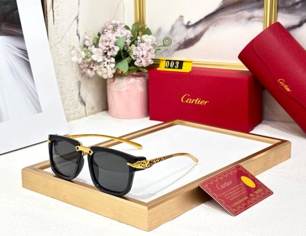 CARTIERR - Image 3