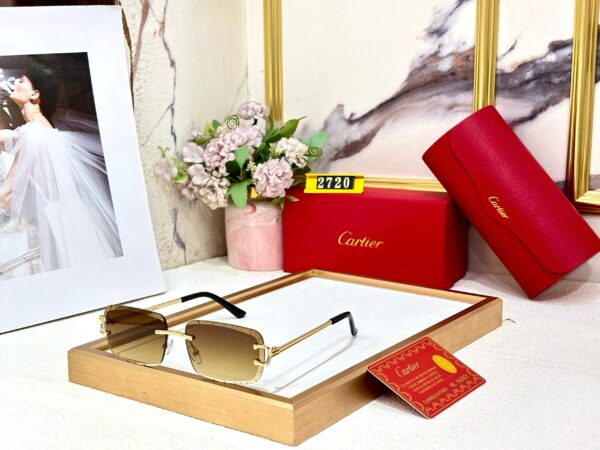 CARTIERR - Image 7