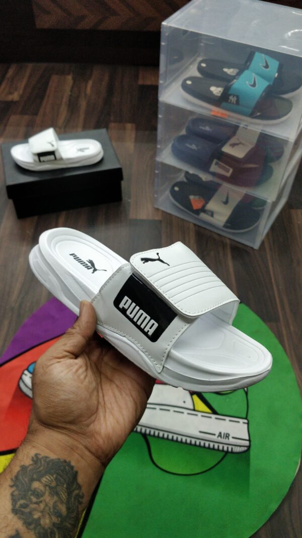 PUMAA SLIDES