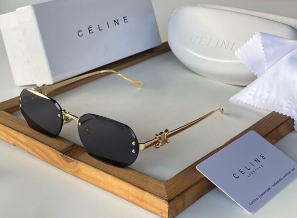 CELINEE-SUNGLASSESS