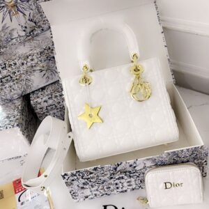 ntroducing Latest Christiann Diorr Lady Dior