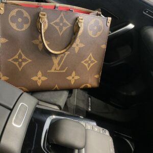 LOUISS VUITTONN ON THE GO