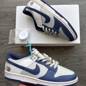 Nikee sb dunk nets