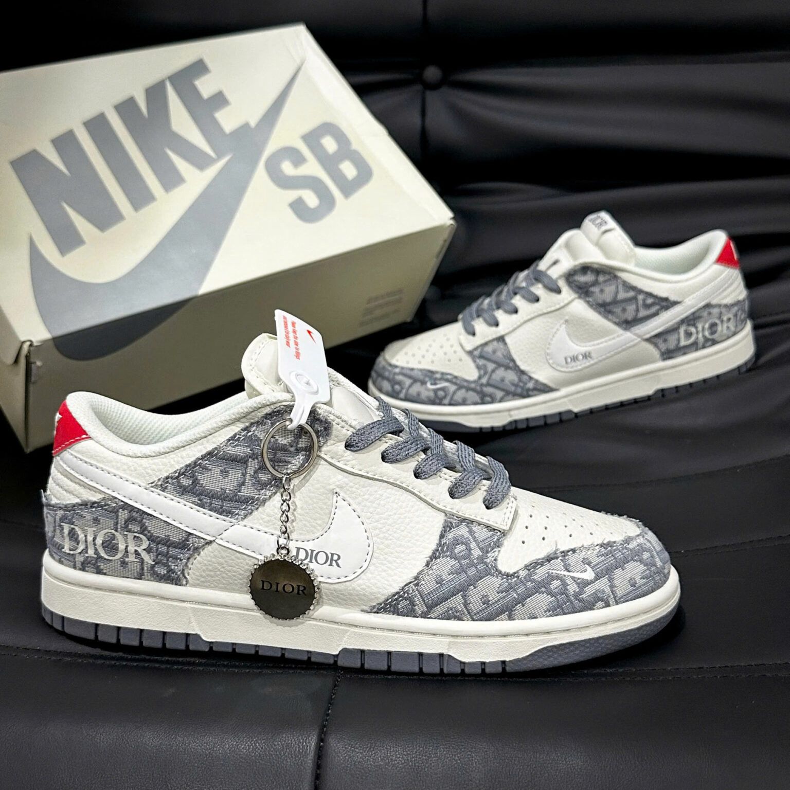 Nikee Sb Dunk x Dior