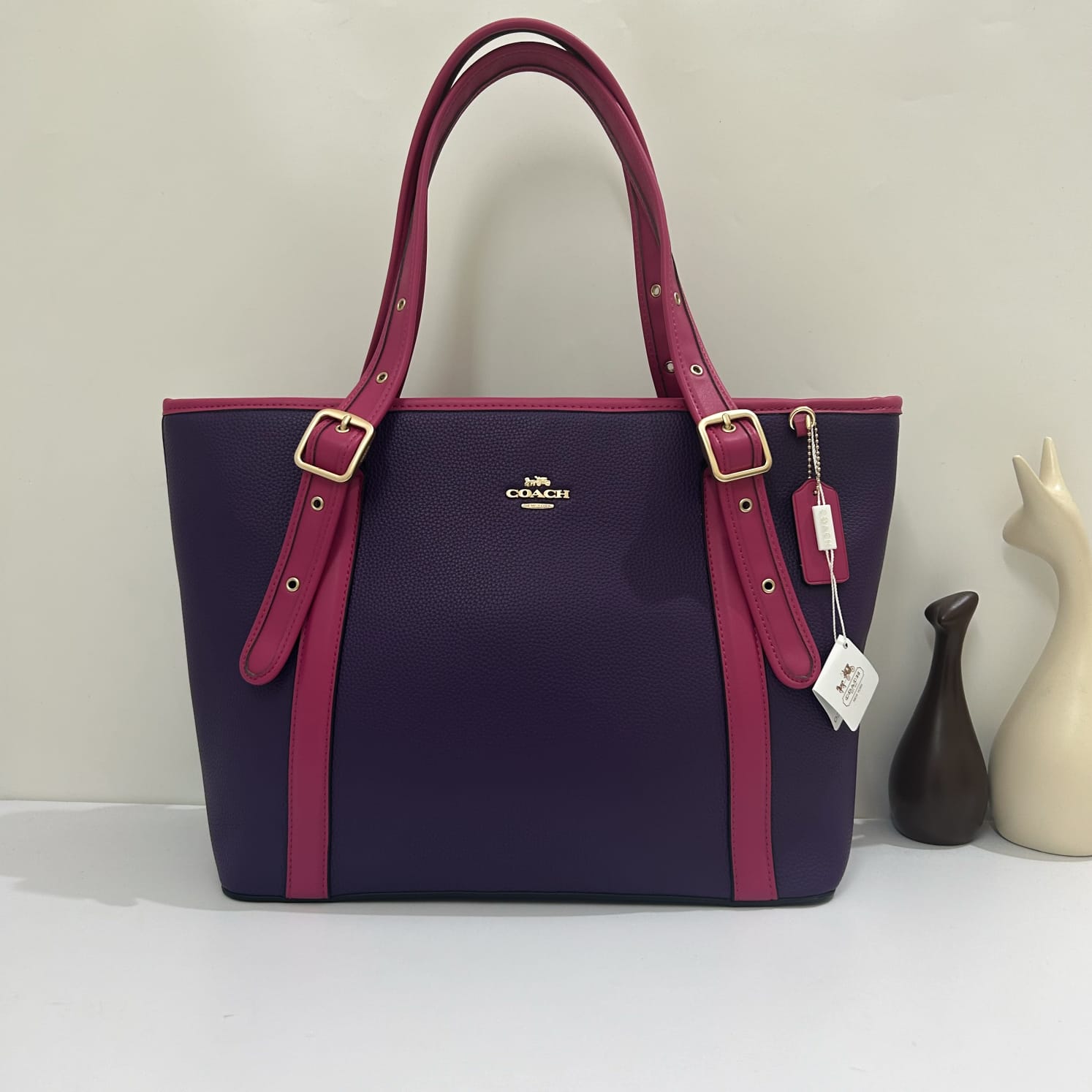 Coachh - Ashton Tote