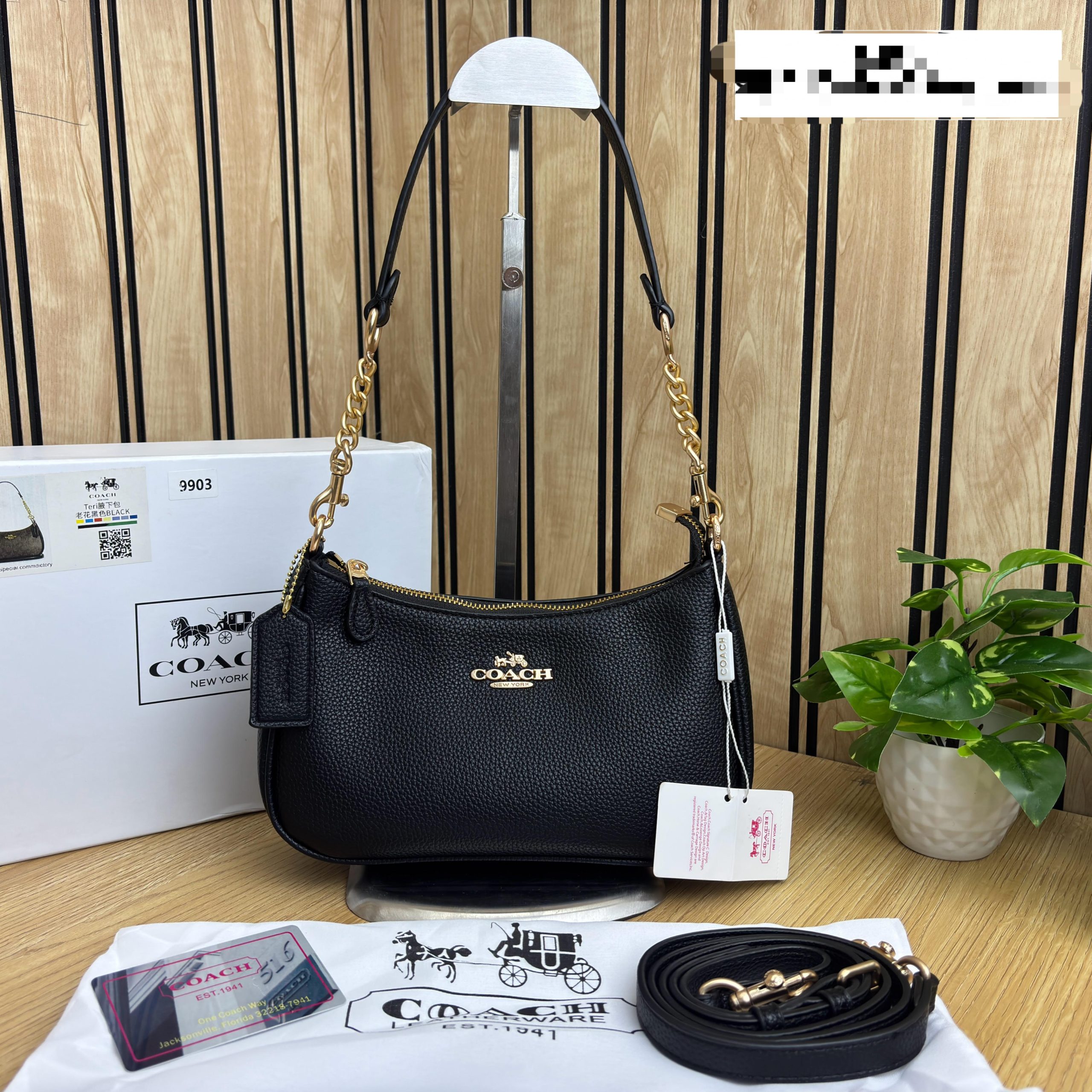 COACHH TERI WITH OXIDISE FITTINGS