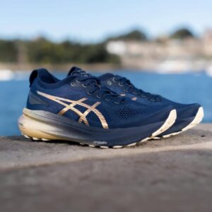 S gel kayano 31 platinum