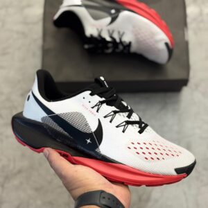 Nikee pegasus trail 5