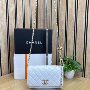 ChanelE Wallet on Chain (WOC) bag In Og Series