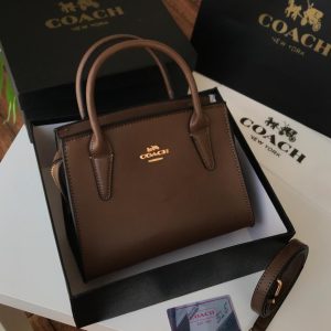 COACHE ANDREA CARRYBALL BAG