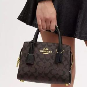 COACHE ANDREA CARRYBALL BAG