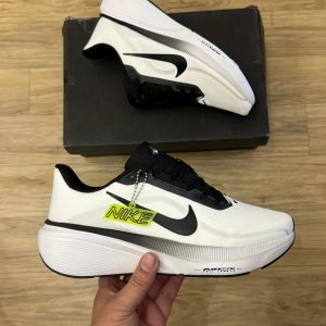 Nikes pegasus 42